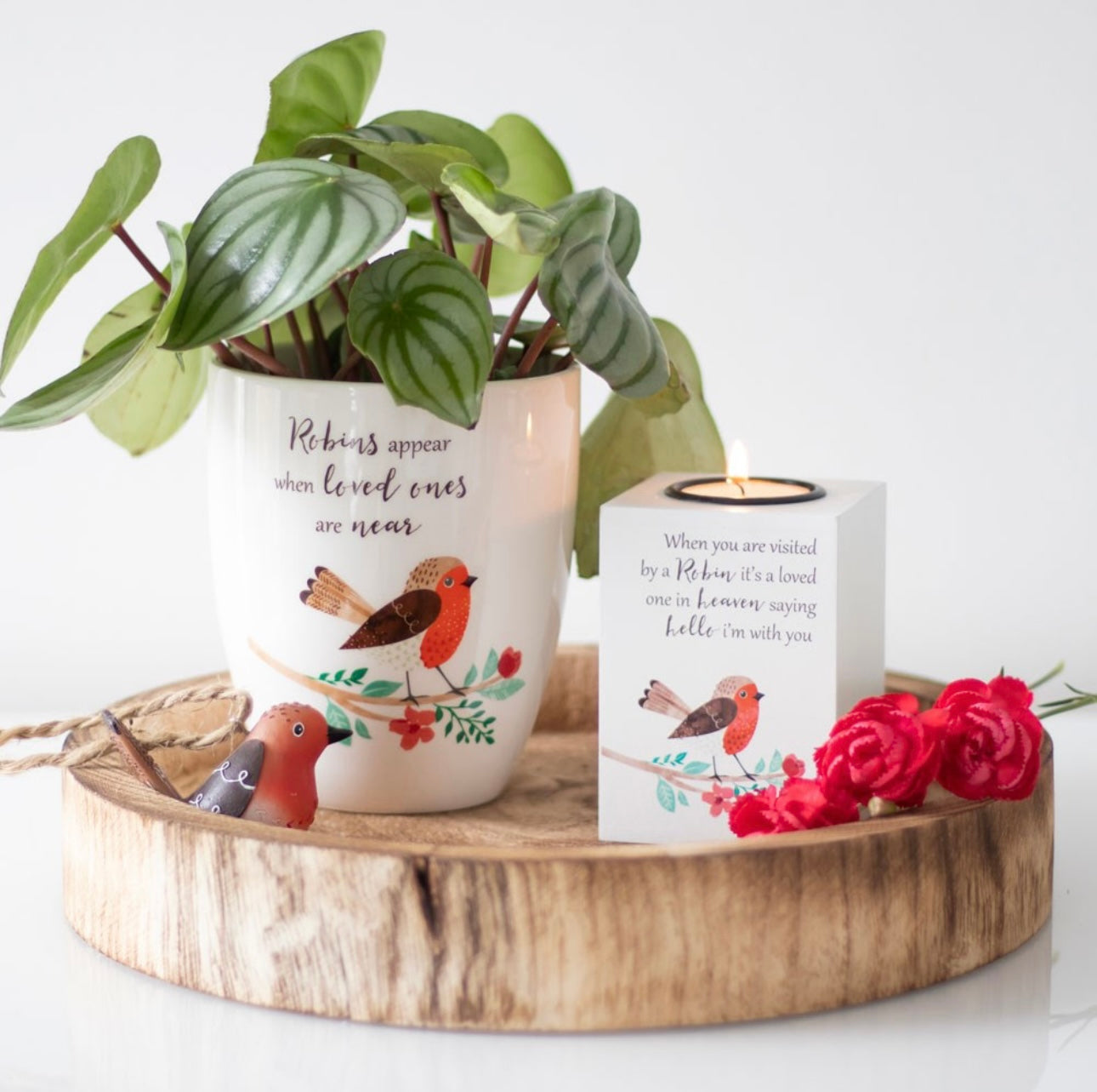 GARDEN ROBIN CERAMIC PLANT POT