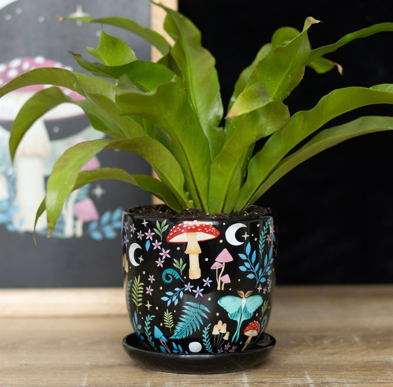 DARK FOREST PRINT CERAMIC PLANT POT WITH SAUCER