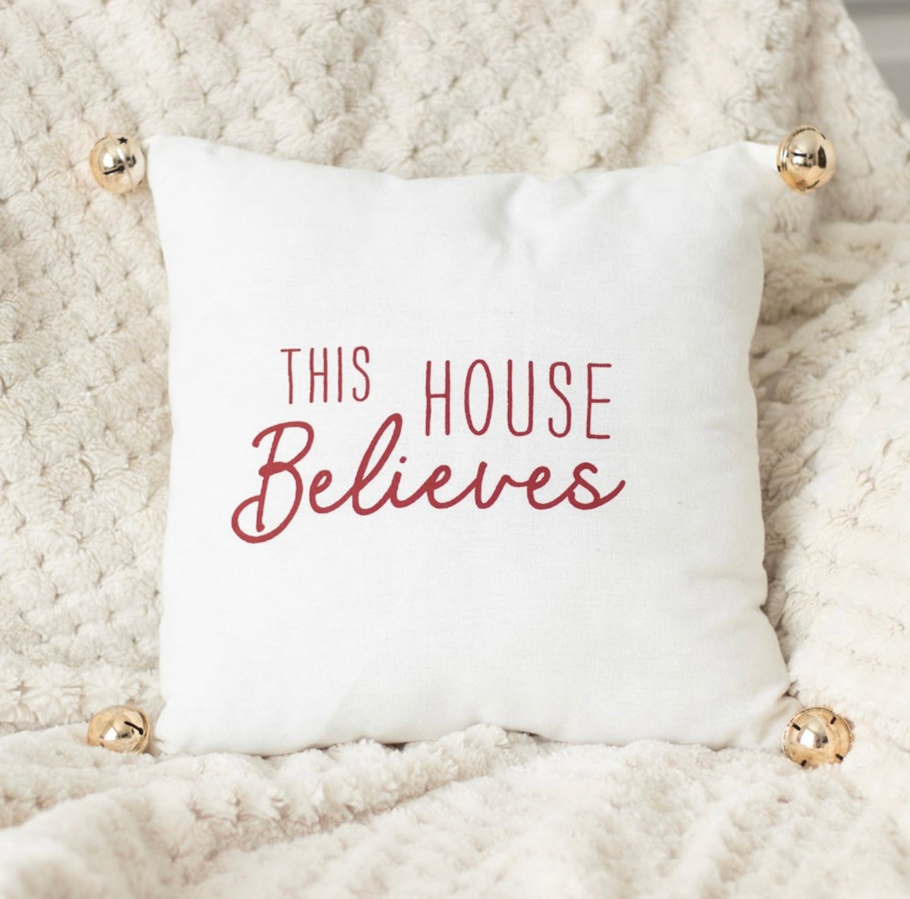 This House Believes Cushion