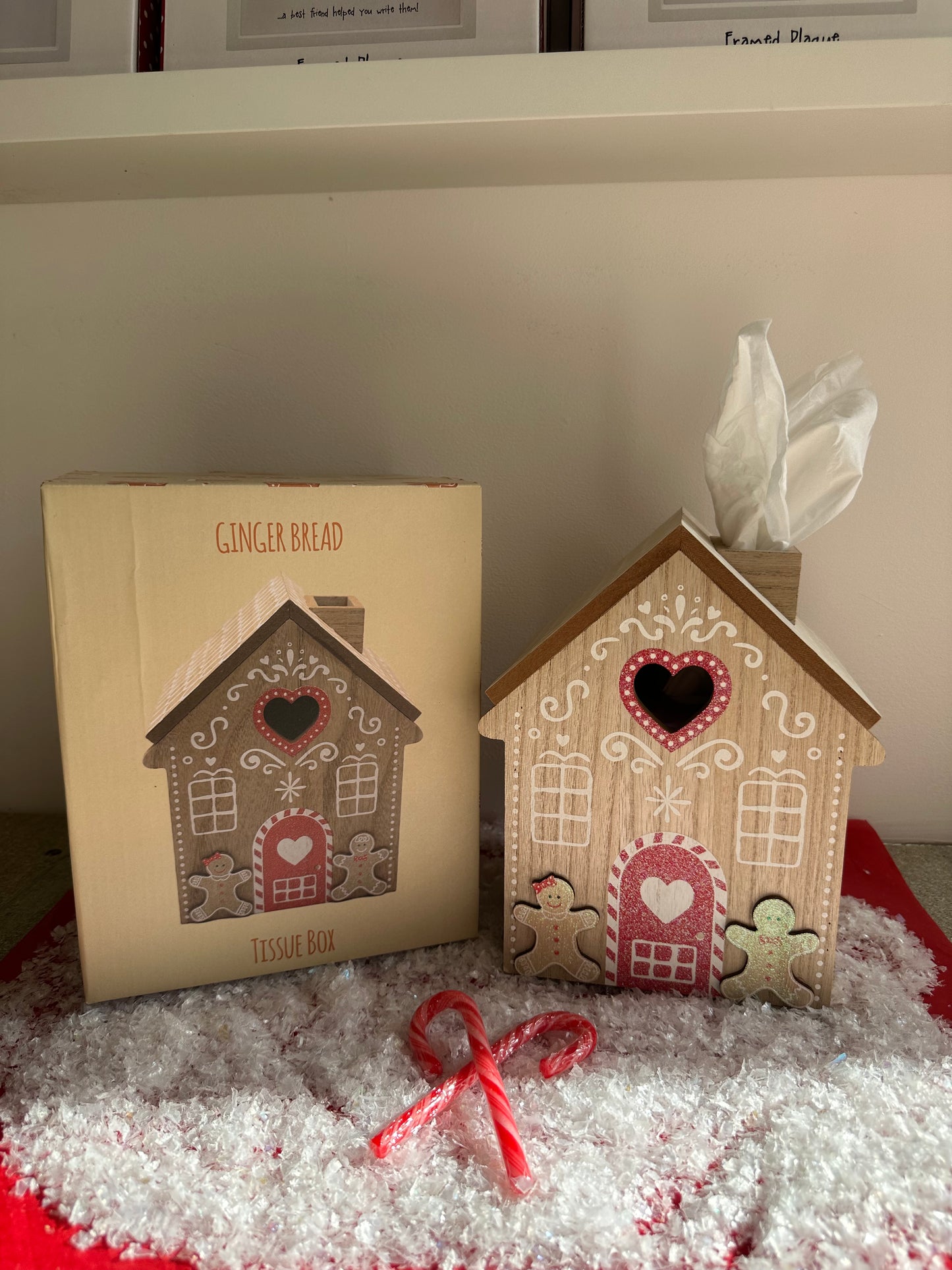 Gingerbread  House Tissue Box Holder