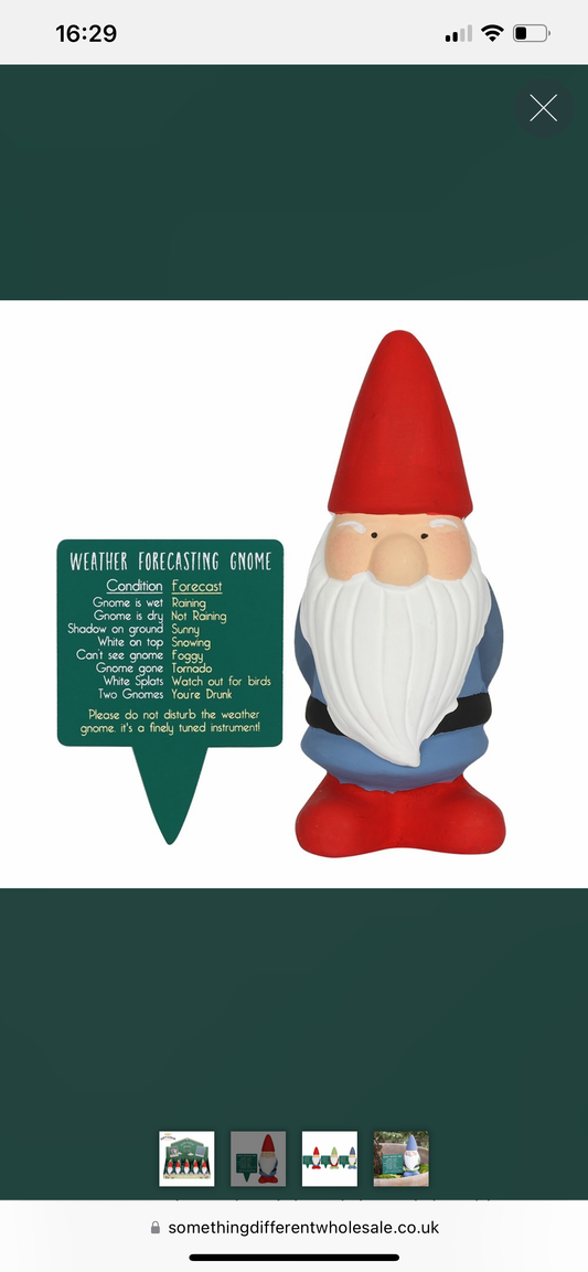 Humorous Weather Forecasting Gnome