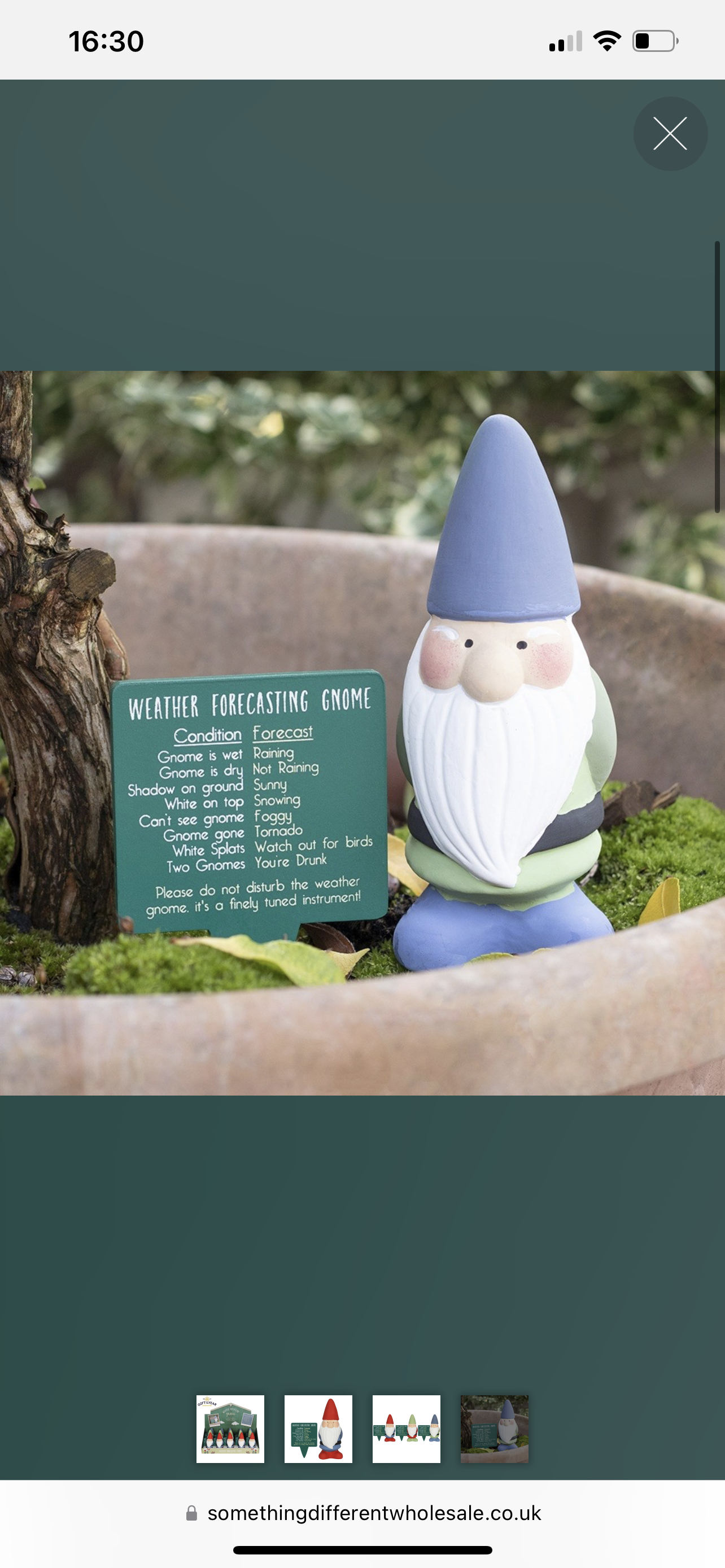 Humorous Weather Forecasting Gnome