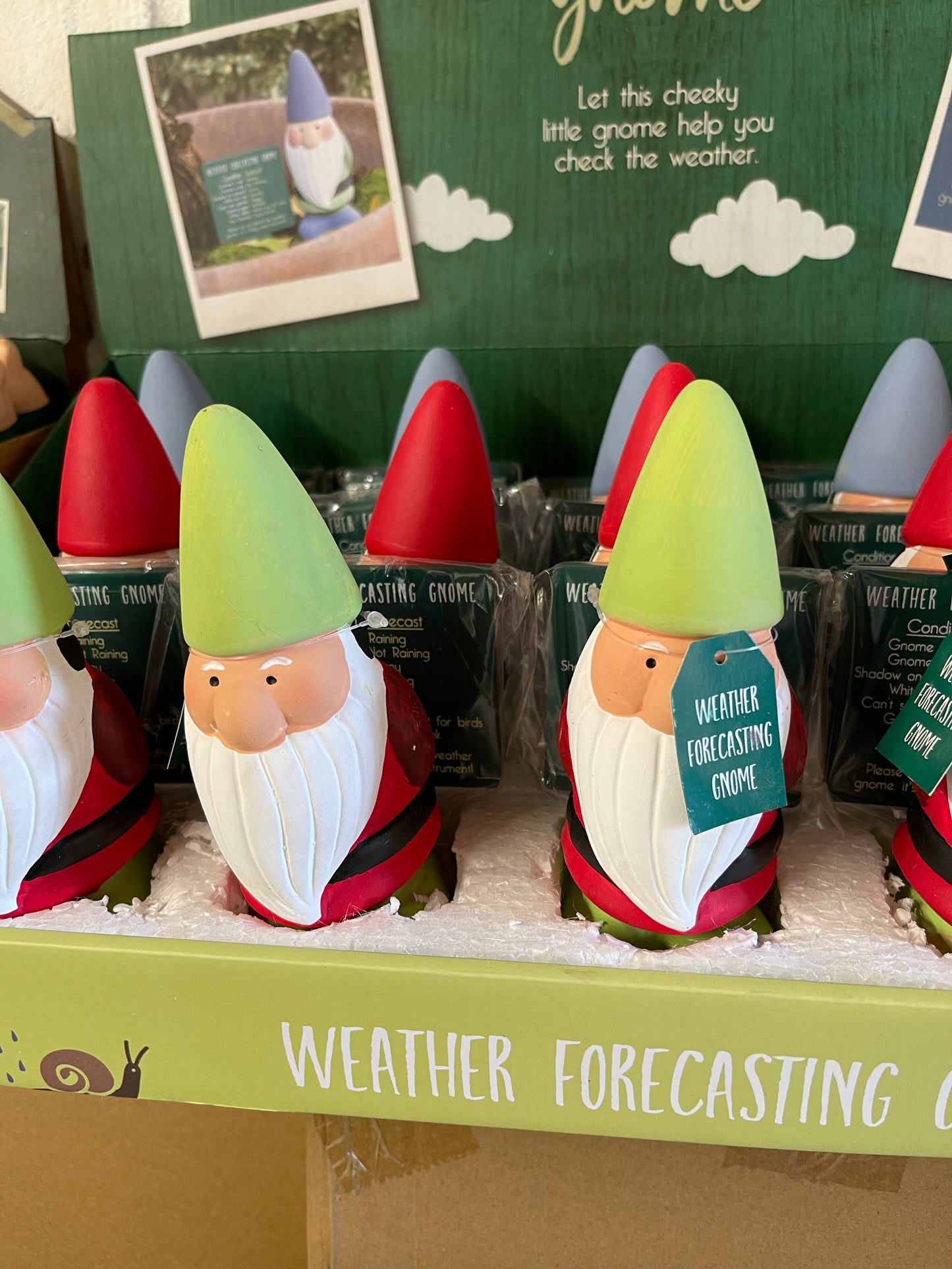 Humorous Weather Forecasting Gnome