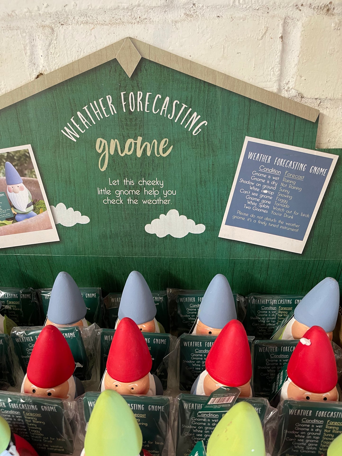 Humorous Weather Forecasting Gnome