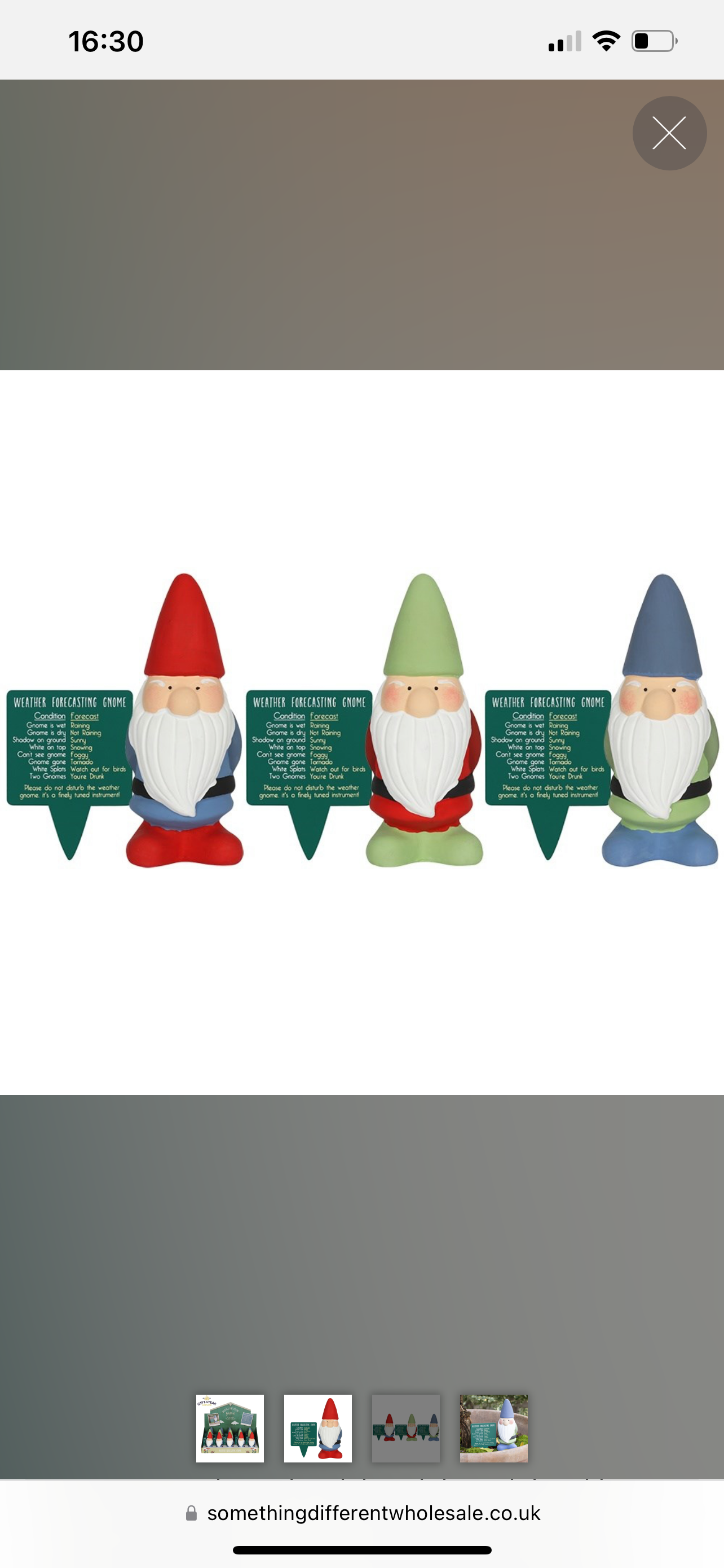 Humorous Weather Forecasting Gnome