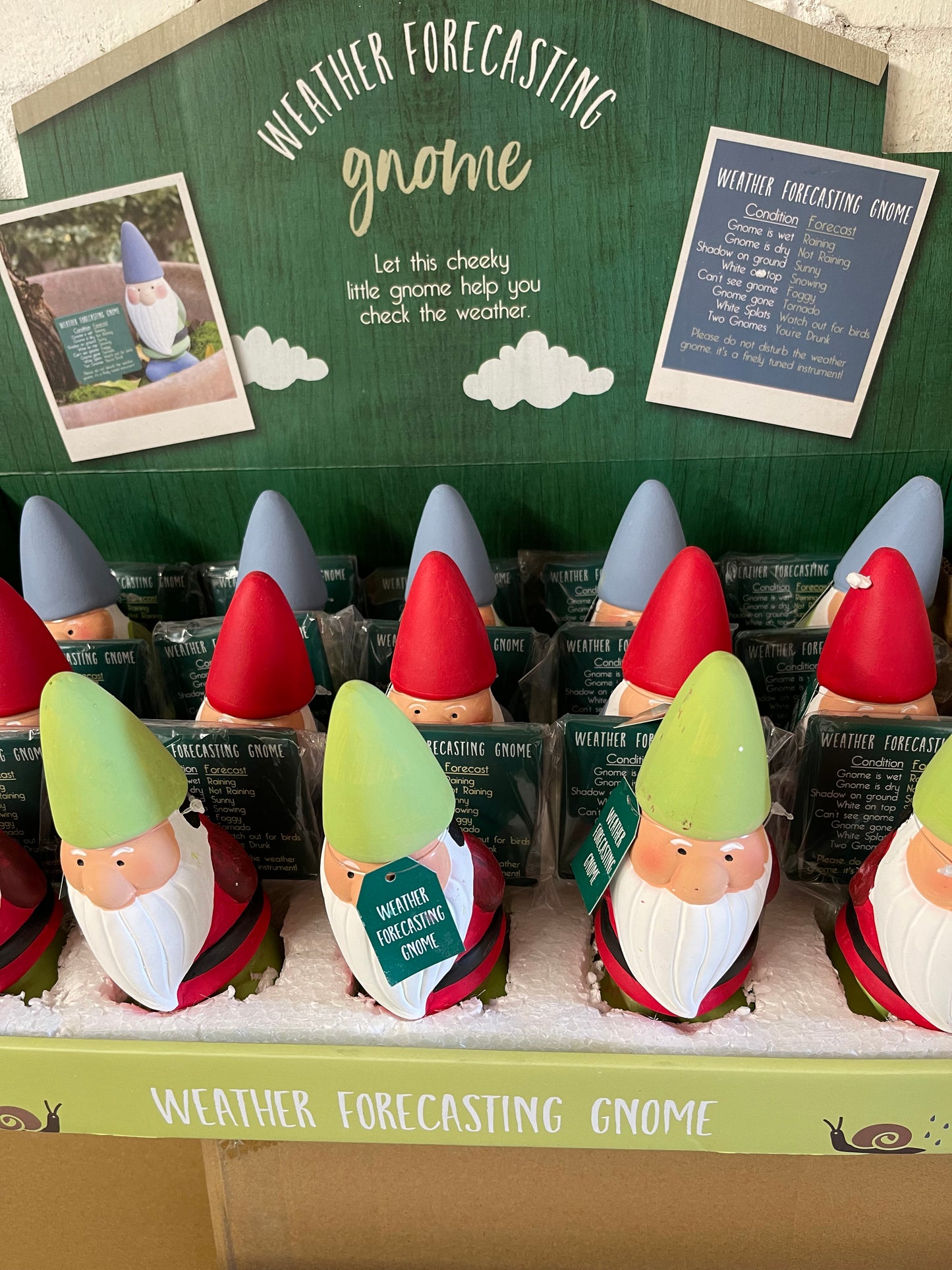 Humorous Weather Forecasting Gnome