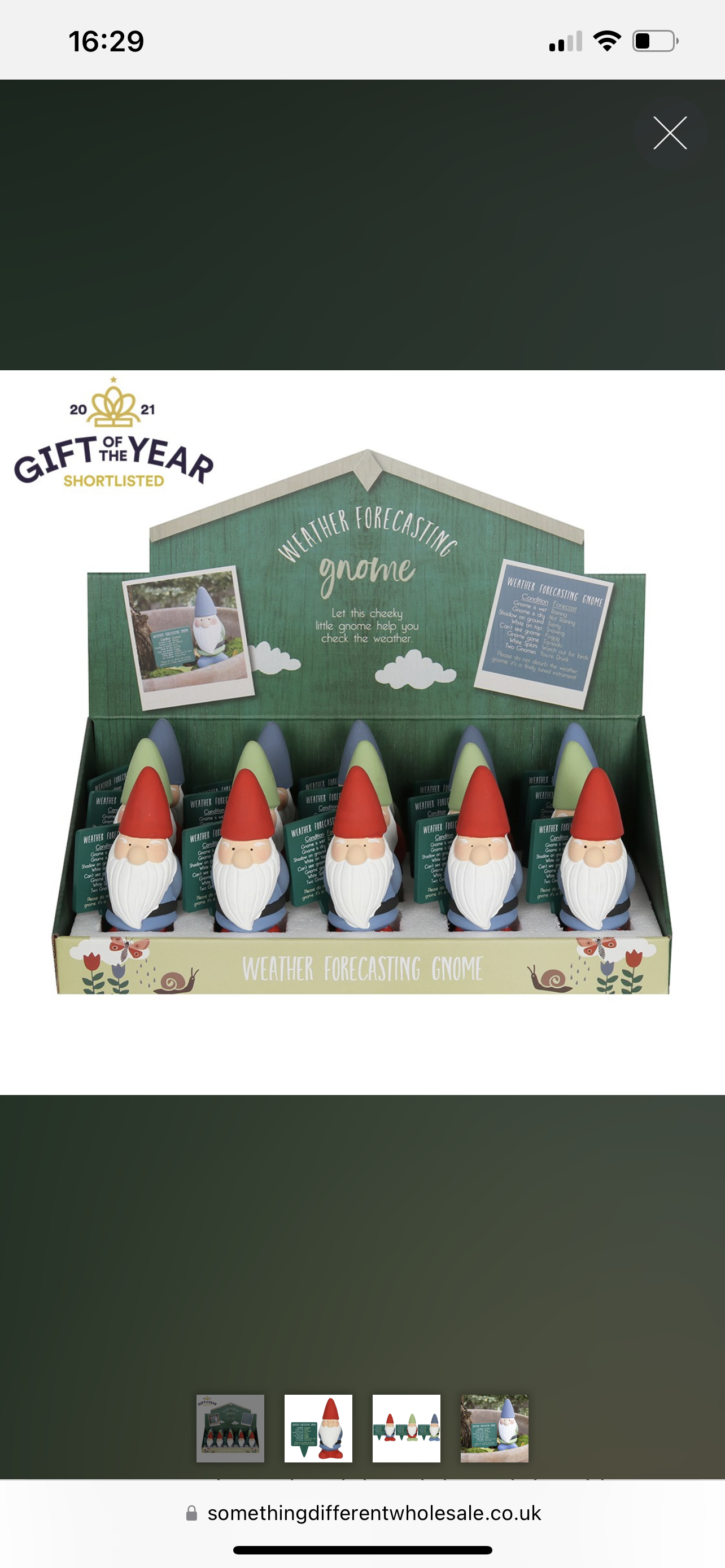 Humorous Weather Forecasting Gnome